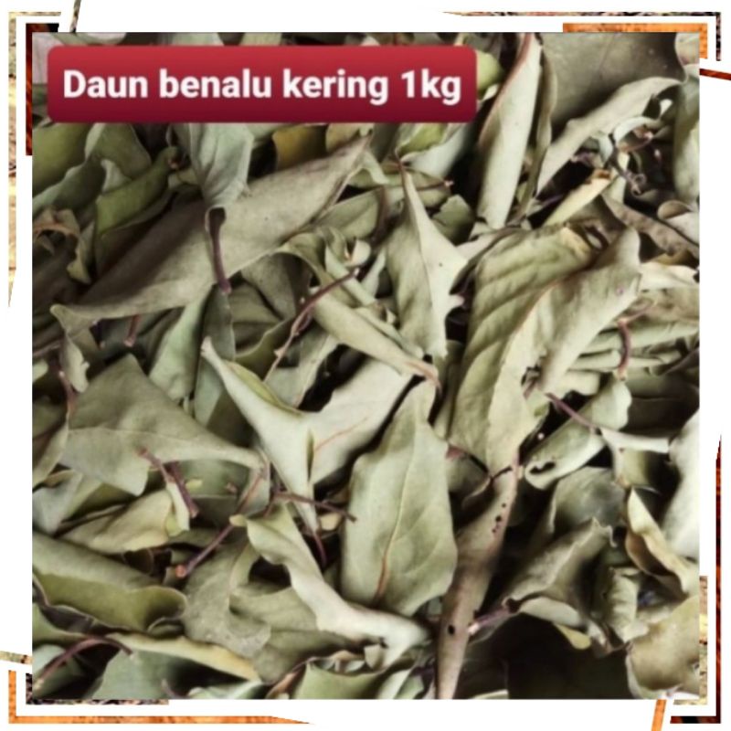 Daun benalu kering 1kg