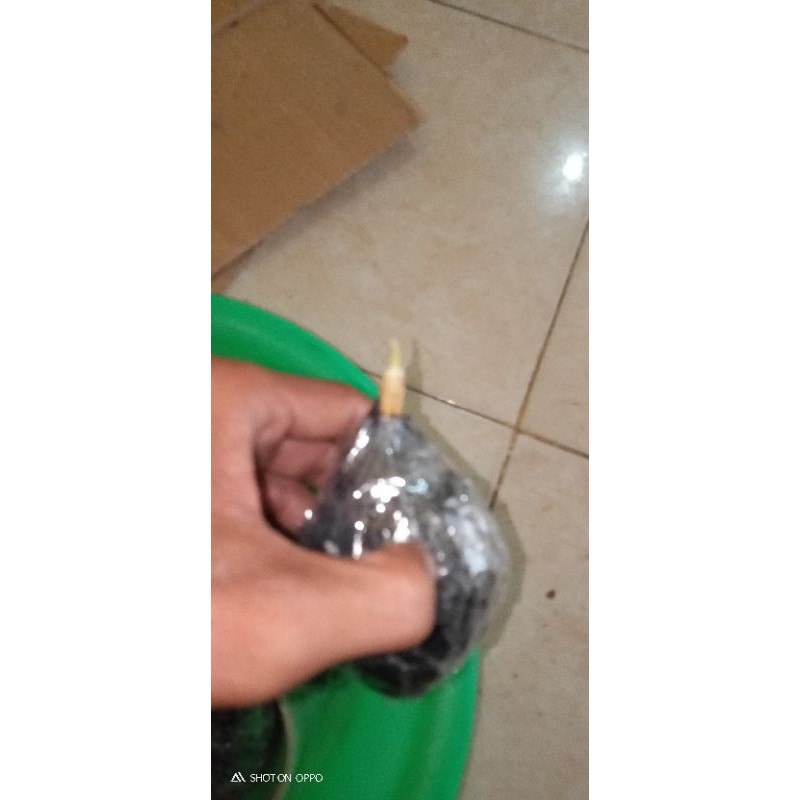 

paket hemat isi 3 bonggolan red berby .Goliat .emerald