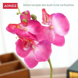 Aonez Bunga  hias anggrek  phalaenopsis bunga  dekorasi  