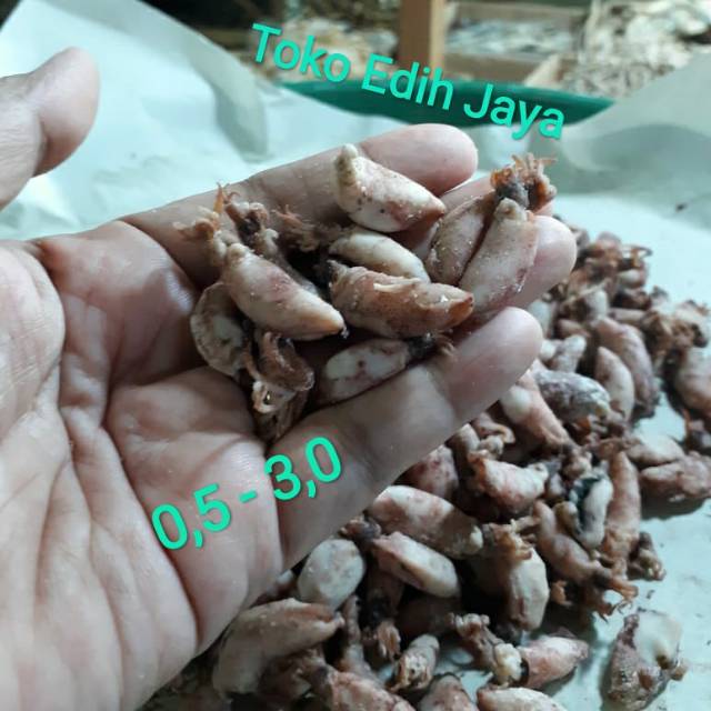 

Cumi/Sontong Baby Kering Ukuran 0.5-3 Cm Netto 500 Gram
