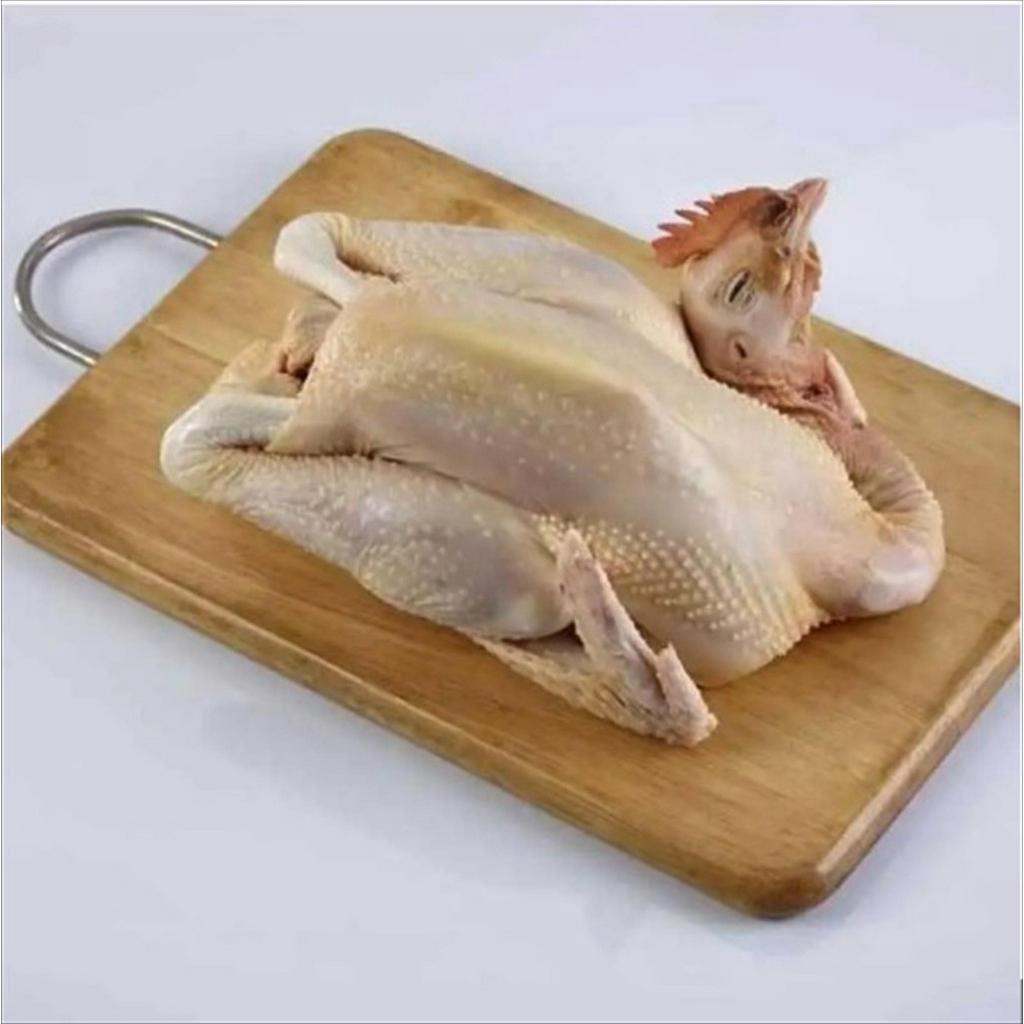 

AYAM KAMPUNG PEJANTAN - AYAM PEJANTAN UTUH PER EKOR
