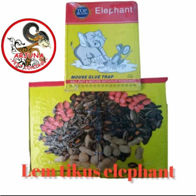 Lem Tikus Papan Import Cap Gajah dan Kerbau