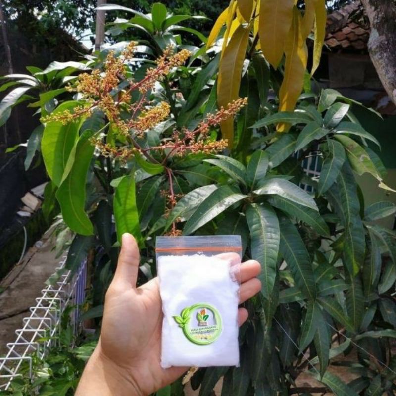 Pupuk Buah Agro isi 1kilo,Pupuk perangsang buah