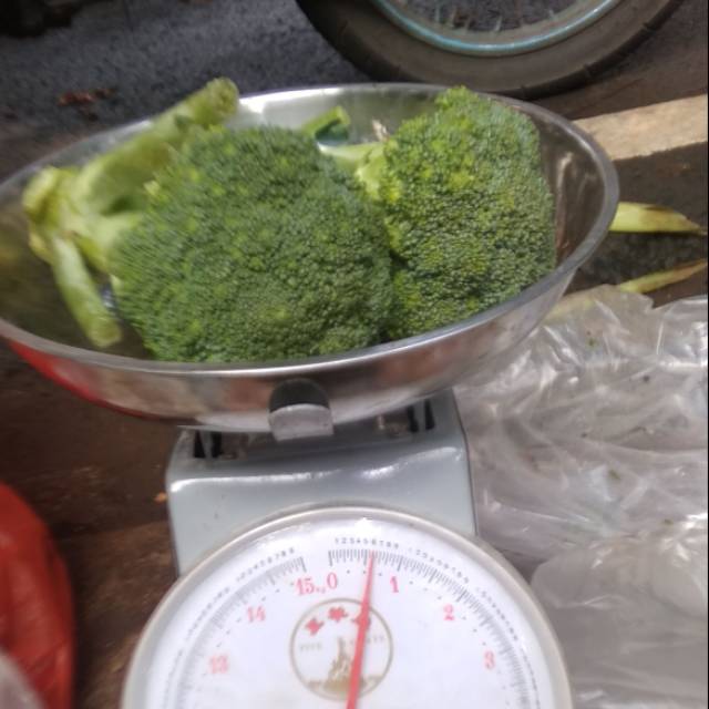 

Brokoli segar