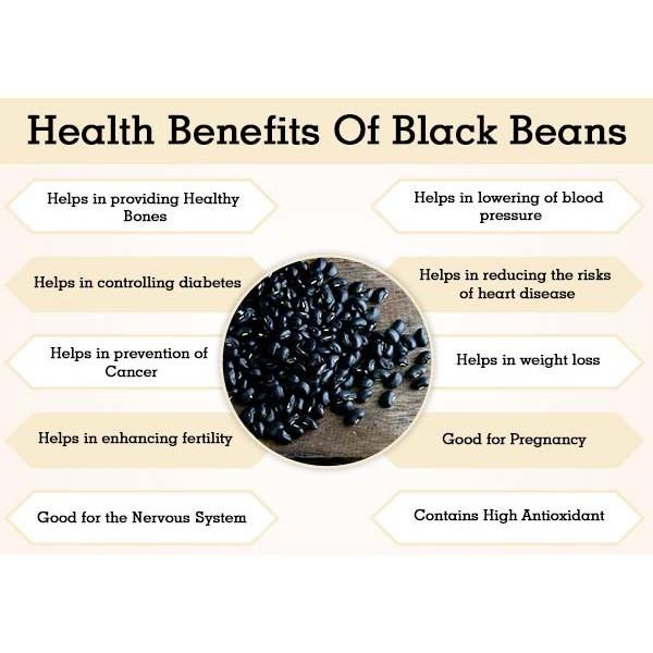 

KACANG HITAM 50GR - ORGANIC BLACK TURTLE BEAN BEANS - KACANG PENYU IRENG ORGANIK IMPORT Berkualitas