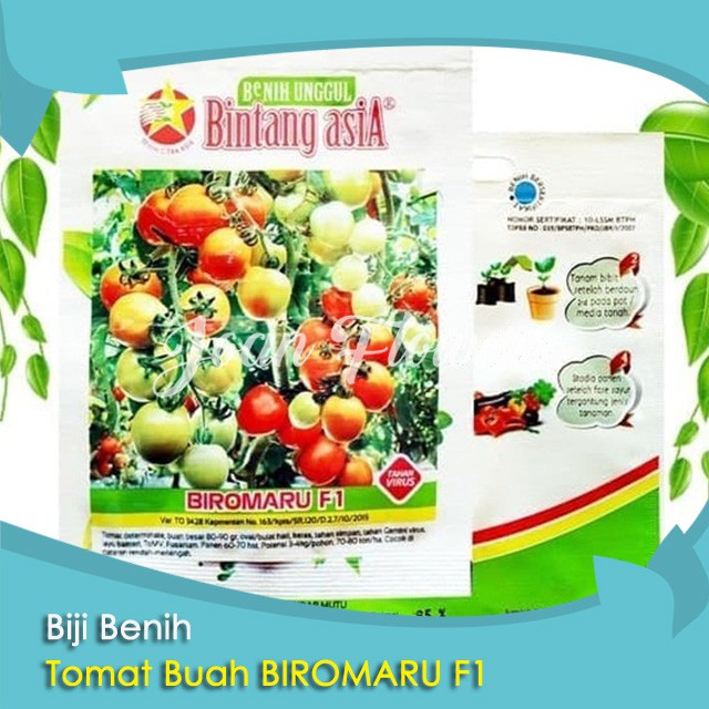 Benih Tanaman Buah Benih Buah TOMAT BUAH BIROMARU F1