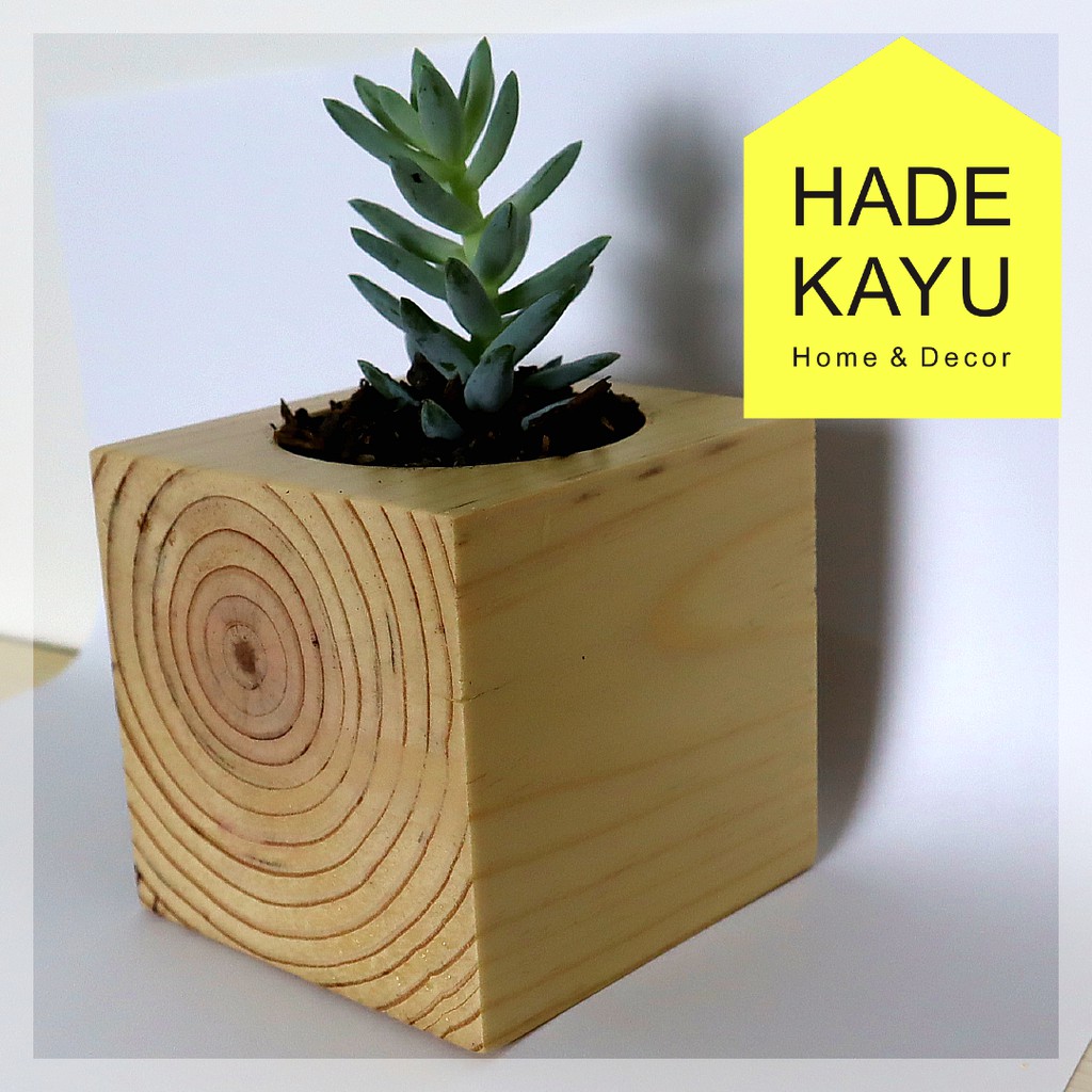  POT  KAYU  UNTUK SUKULEN SUCCULENT POT KAKTUS DARI KAYU  