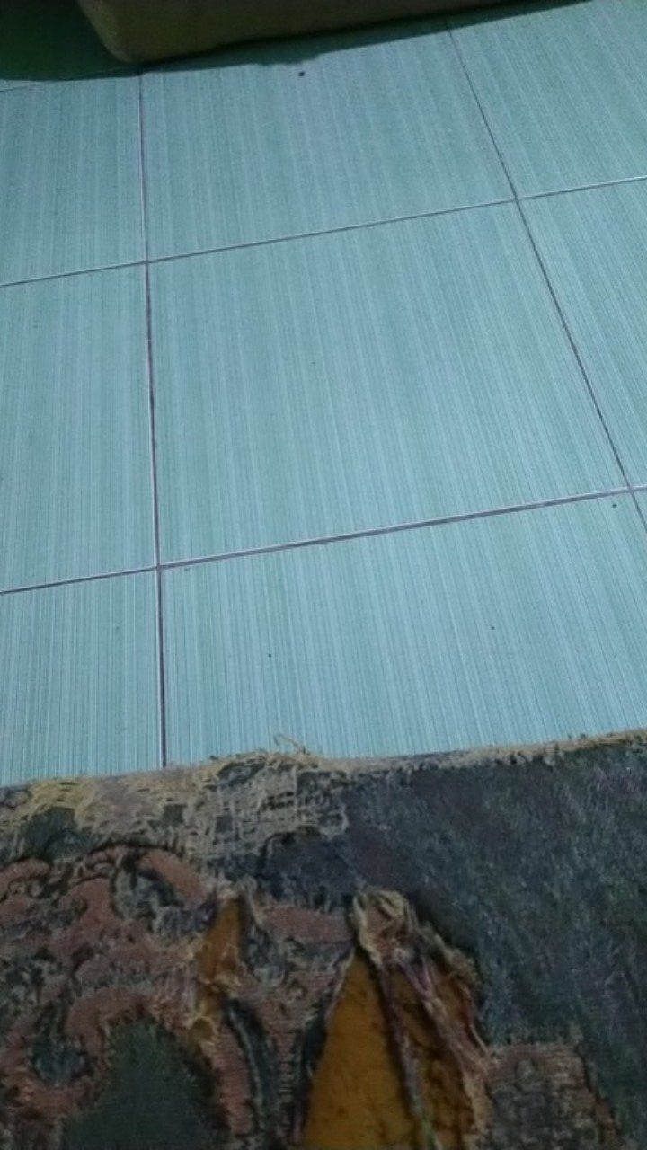 Cat Tembok Qluc Emulsion Paint Nett 4,5 Kg By Nippon Paint