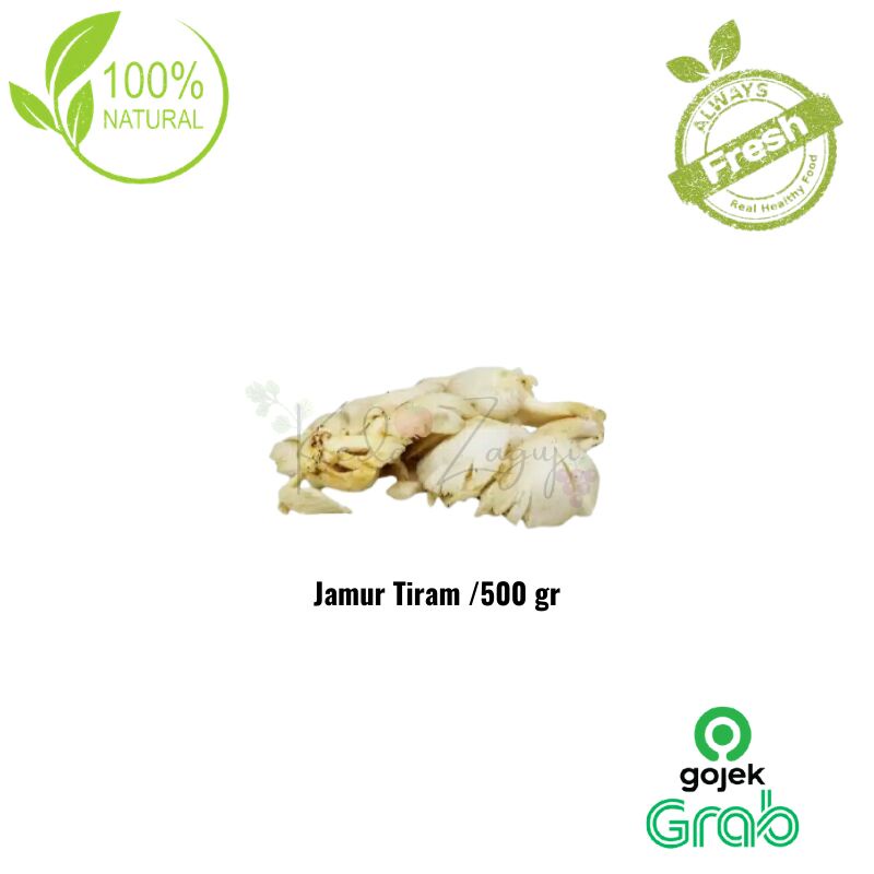 

Sayur Segar - Jamur Tiram /500gr