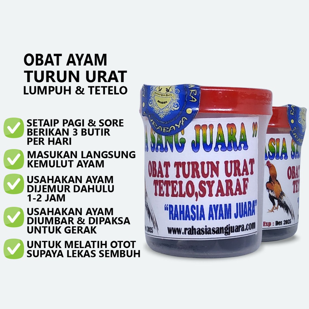 OBAT AYAM TURUN URAT KAKI LUMPUH BENGKAK TETELO SERTA GANGGUAN SYARAF AYAM LAINNYA