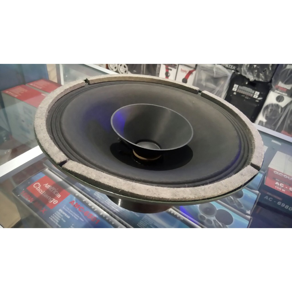 SPEAKER LEGENDARIS PROFESSIONAL RRT FULLRANGE 10 INCH