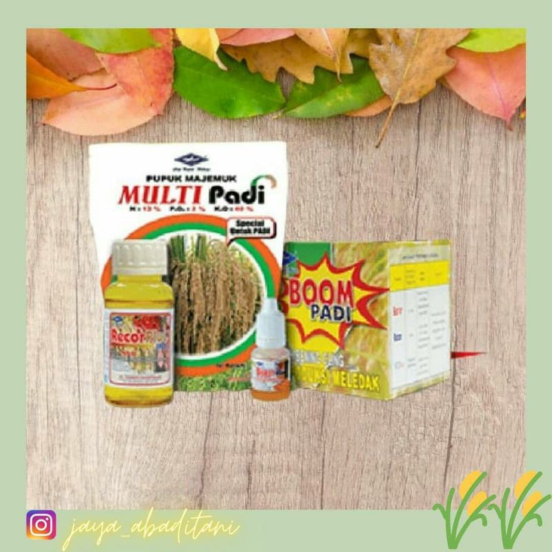 Boom Padi Cap Kapal Terbang