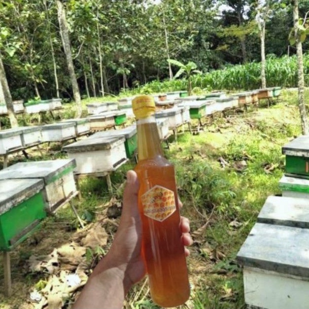 

Madu assyifa nyiruan botol besar khusus untuk yang faham madu asli murni