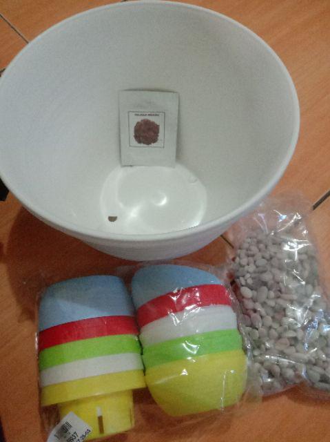 21cm Pot Tawon 21 Budi Jaya