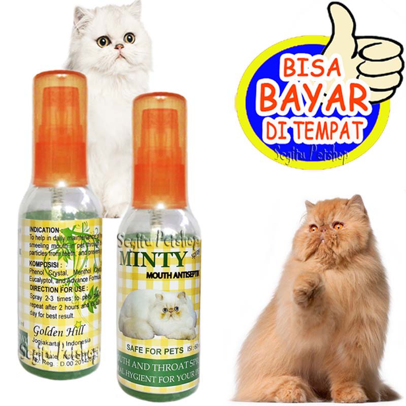OBAT PENGHILANG BAU MULUT KUCING SARIAWAN KITTEN MINTY CAT