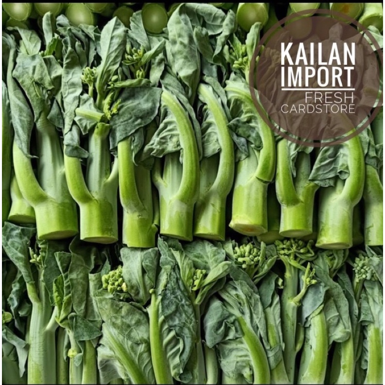 

Sayur Kailan Import Fresh Segar - 500 Gram