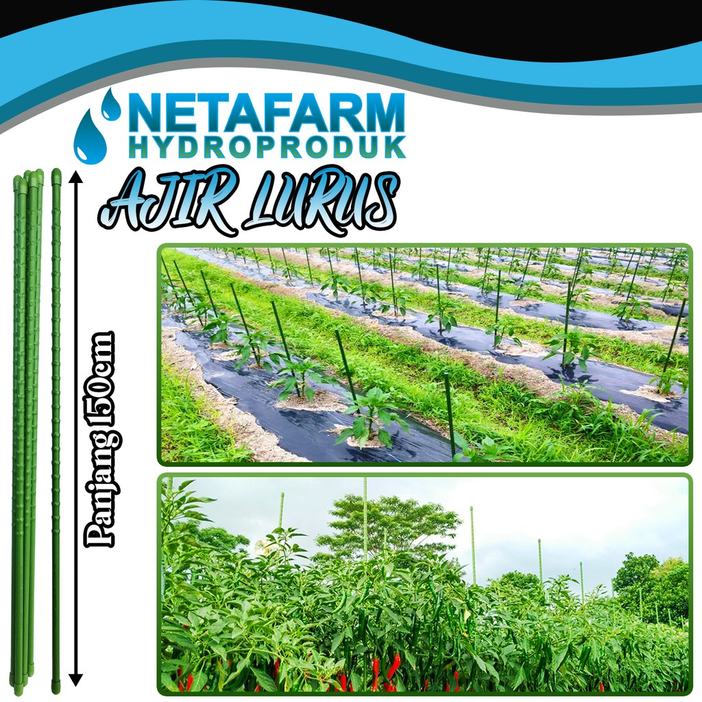 Ajir Tanaman - Plant Stake - 8mm x 150cm