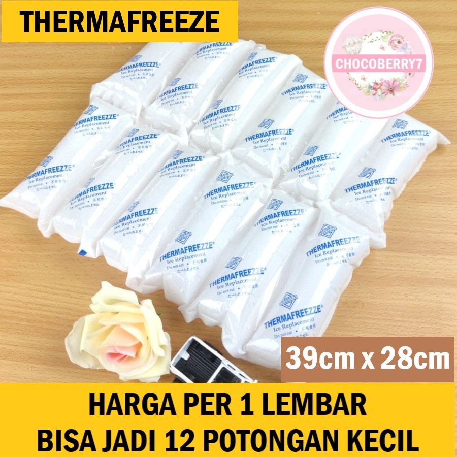 GABAG Dry ice gel Pack Pendingin Makanan Frozen Food Cooler Box Lembaran Thermafreeze Thermafreezze