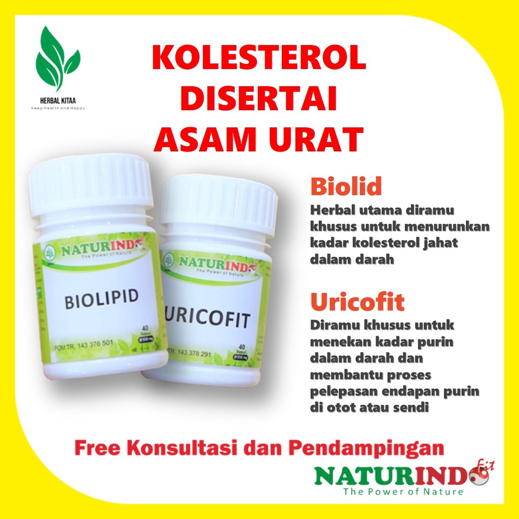 Biolipid Obat Herbal Kolesterol Menghancurkan lemak jahat melancarkan aliran darah Naturindo-Kolestrol+Asam Urat