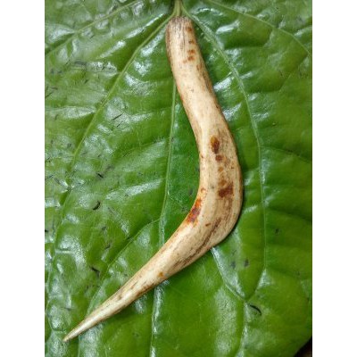 Laris Gantungan Kunci Pcket Karakter Daryl Dixon Walking Dead