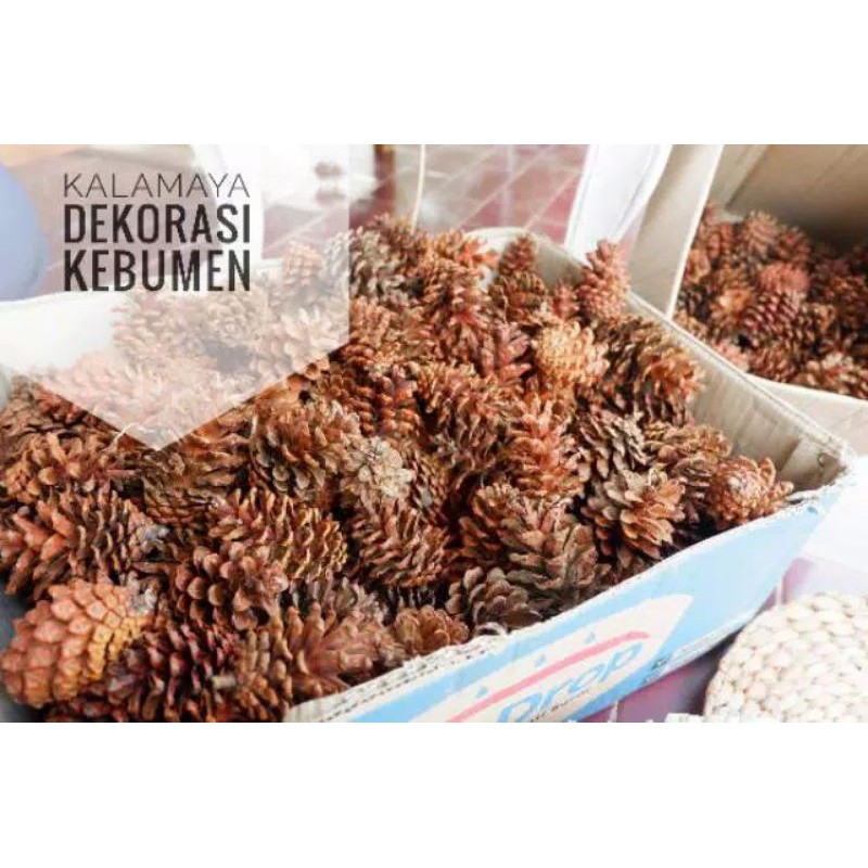 BIJI BIJIAN DEKORASI RUSTIC PINUS  DIY MAHAR CRAFT BUKET  