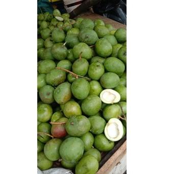 

Star 3.3 Mangga apel Mentah 1 kilogram ( rasa masam / asam ) Pas Buat di rujak dan di makan segar mangga muda