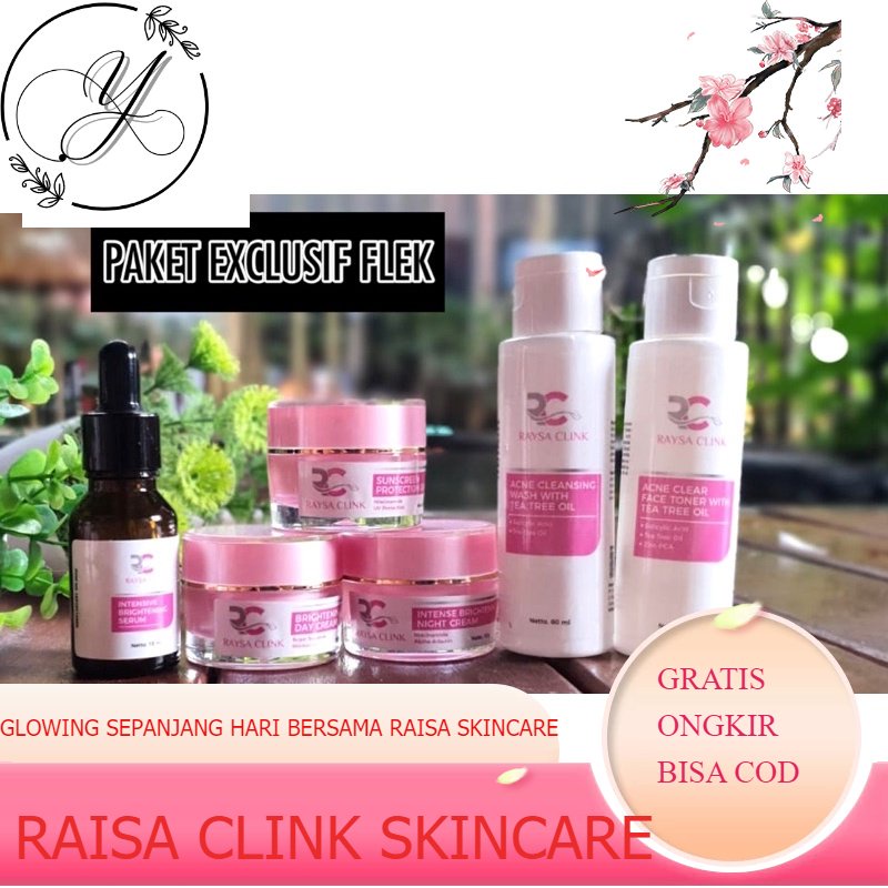 paket flek raysa clink skincare