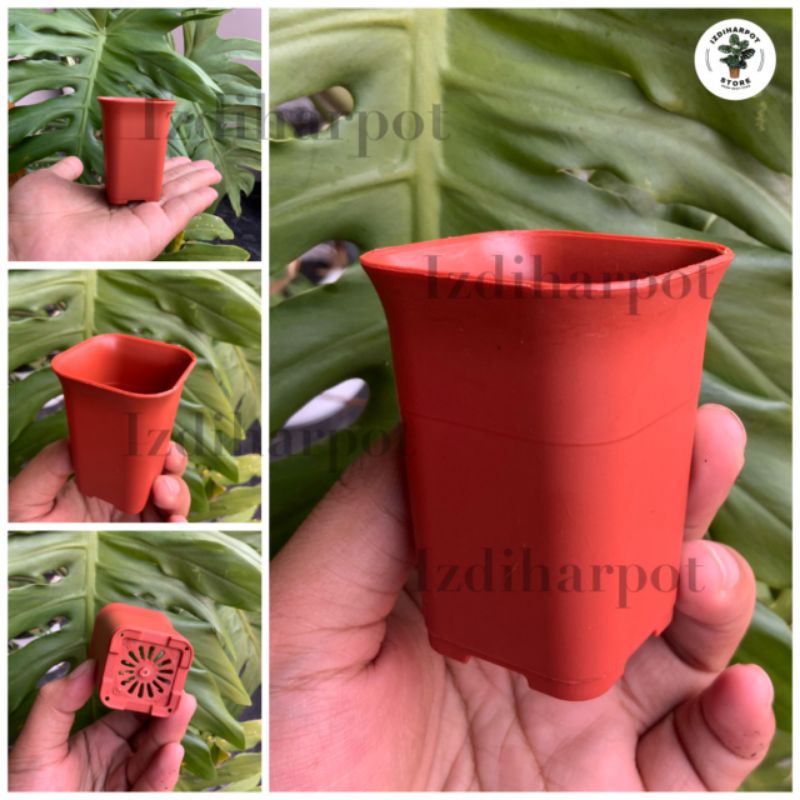 pot bunga tanaman mini nkt kotak juoss 5cm - NKT KOTAK 5 MERAH BATA