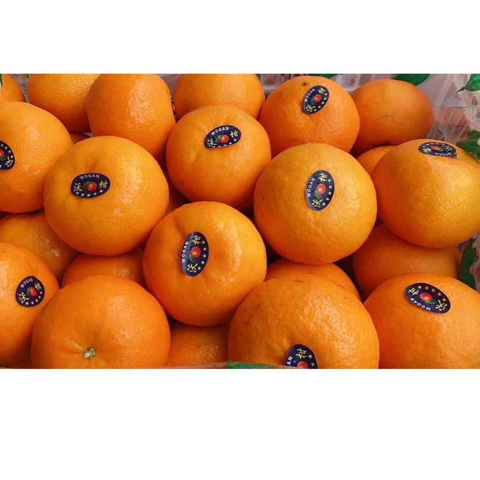 

BUAH JERUK WOGAN WOKAM PREMIUM JERUK KUPAS IMPORT IMPOR 500 GRAM [HAPPY FRUIT] 웃➮ 87+