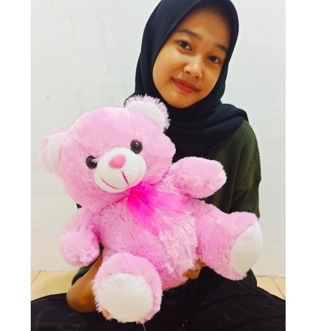 Boneka Beruang Teddy Bear Ukuran 40 Cm Lucu Imut Bahan Halus Kualitas SNI Tedy Ber Beruang Doll