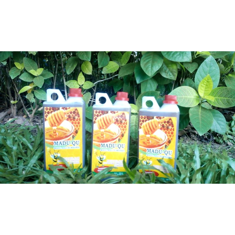

MADUQU, MADU ASLI SUMBAWA KUALITAS SUPER 1000 ml