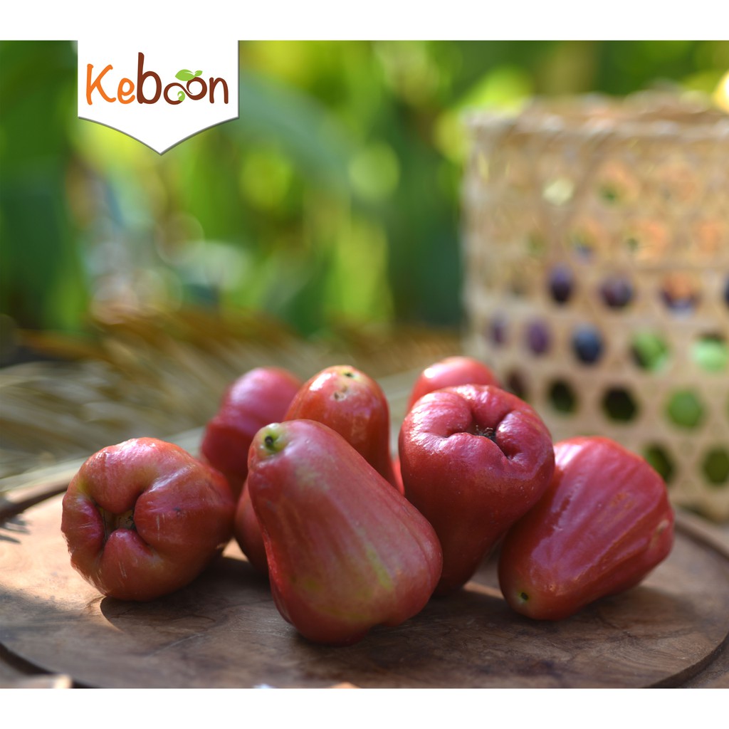 

Jambu Air (500 gr)