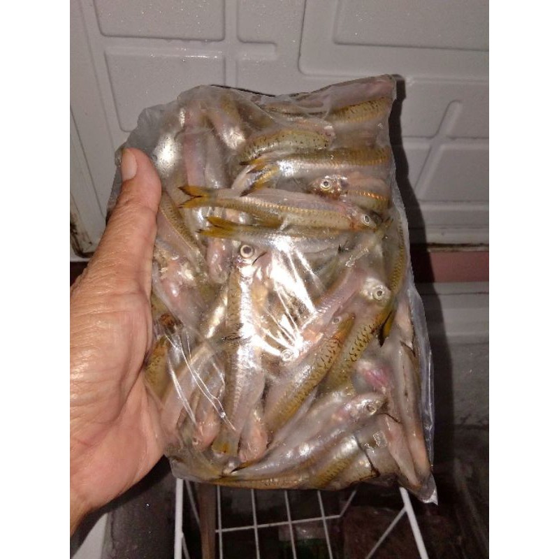

Ikan Seluang Bersih Siap Masak segar Khas Rumah Makan Palembang