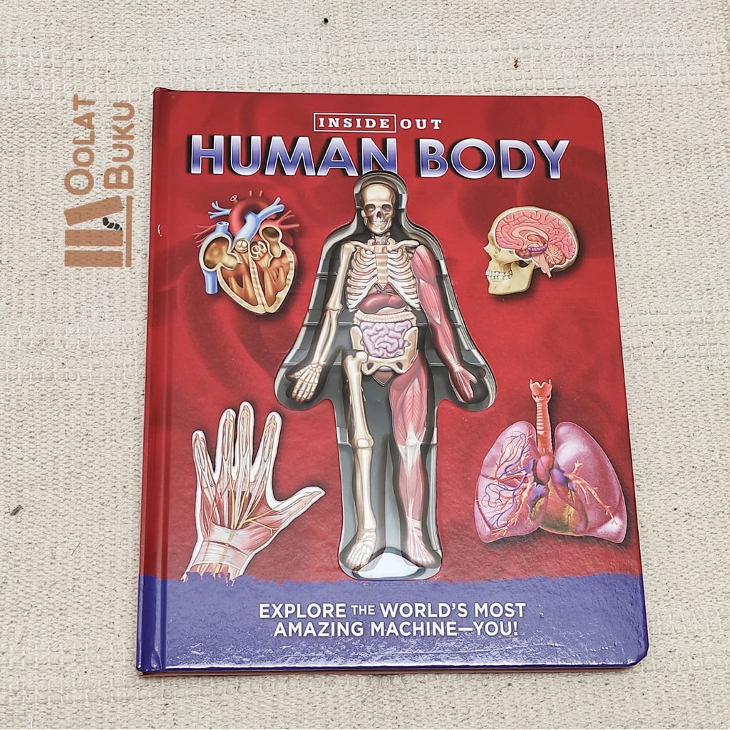 Inside Out - HUMAN BODY