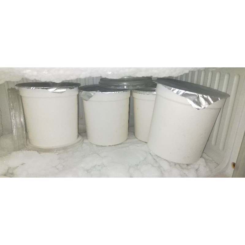 

yogurt plain & salad