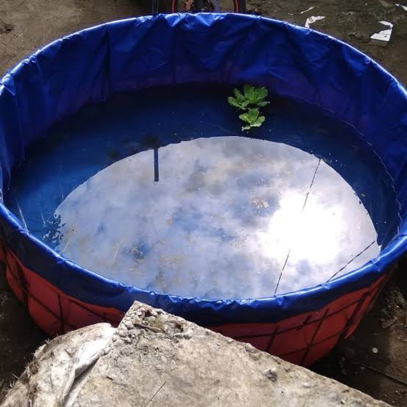 KOLAM BULAT D1,5 x 0,5 Orchid