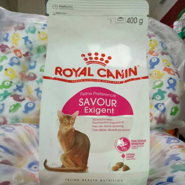 savour exigent royal canin