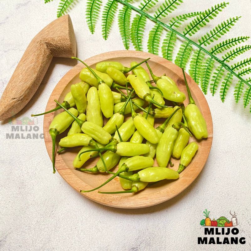 

Cabe Putih Segar / Cabe Gemuk 250 gr