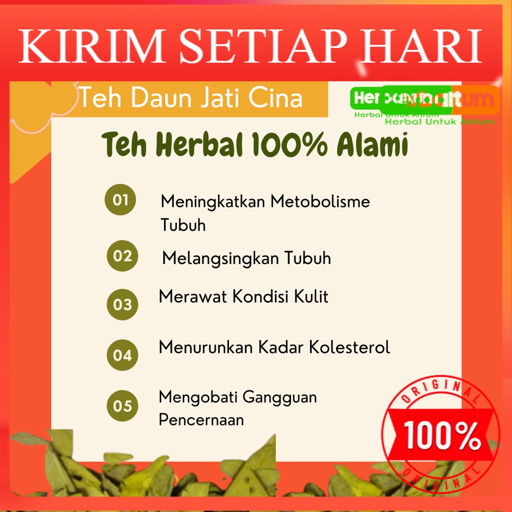

Teh Daun Jati Cina - Teh Organik - Teh Daun Jati Cina Hikmah