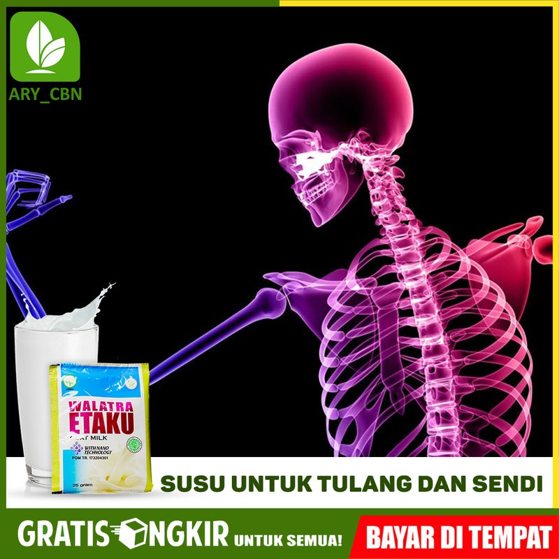 

Susu Untuk Tulang Dan Sendi - Patah Tulang - Tulang Keropos Susu Kambing Murni Etaku di Cirebon