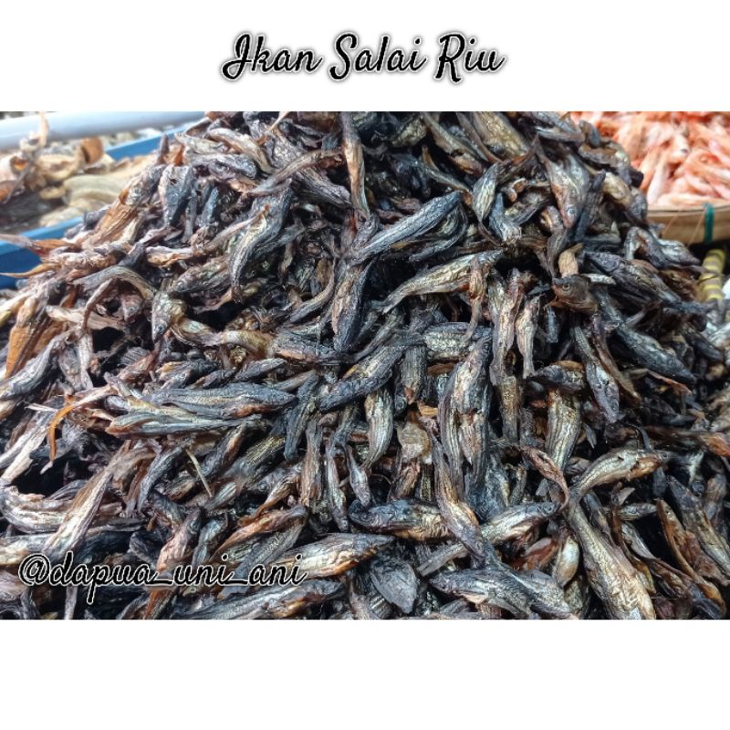 

IKAN SALAI RIU / SALAI KECIL / IKAN SALE