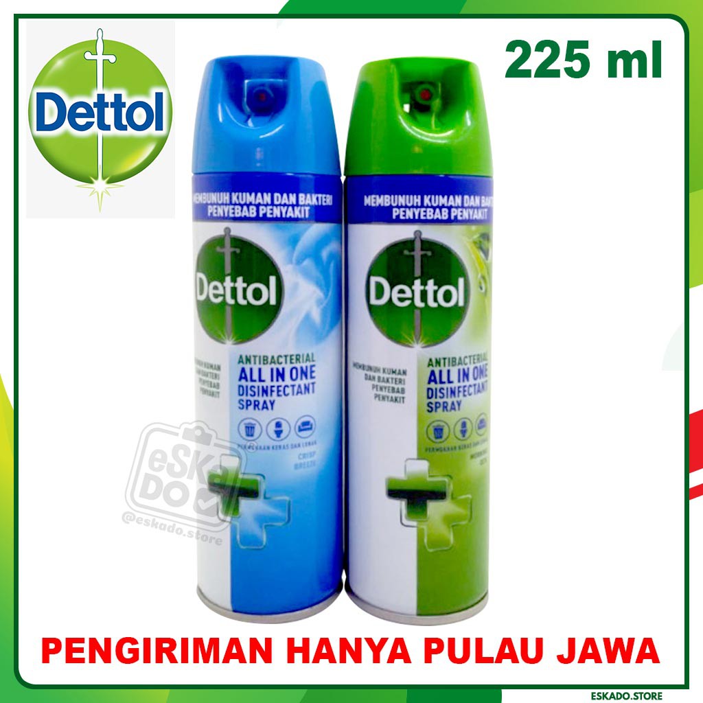 Dettol Anti Bacterial All In One Disinfectant Spray 225 ml Disinfektan