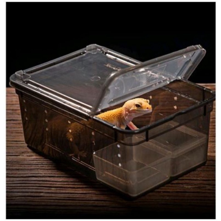 Kotak Reptil Box Reptile Tarantula Vivarium gecko Feeding Box Kandang Reptil Kura-Kura KhaylasPet