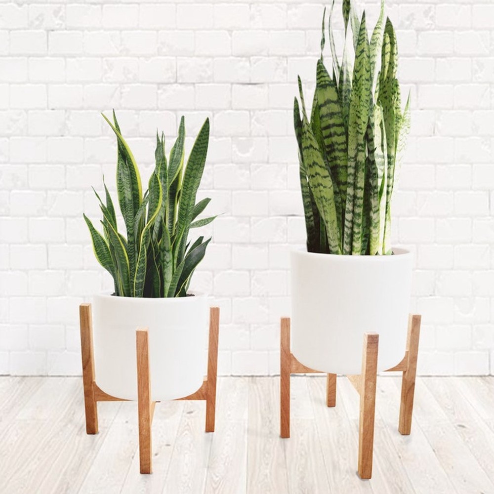 Standing Pot Bunga Minimalis Rak Pot Tanaman Hias Kayu Jati Belanda (Tinggi 20cm, Diameter 15 cm)