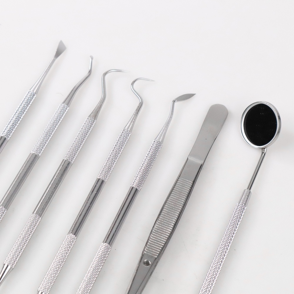 Alat Pembersih Gigi Set Dokter Gigi Dentist Dental Tool 7 PCS - 4012 - Silver