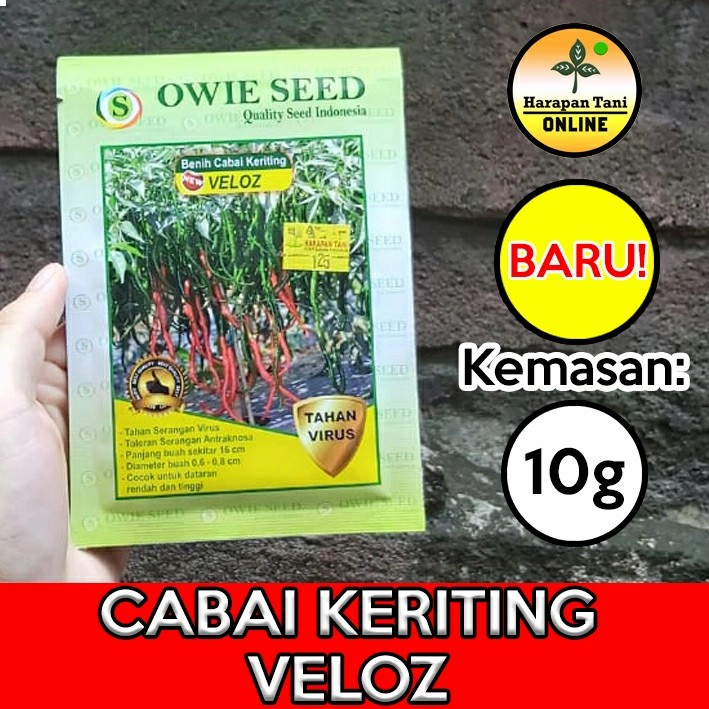 Veloz 10g | Cabai keriting | Owie Seed