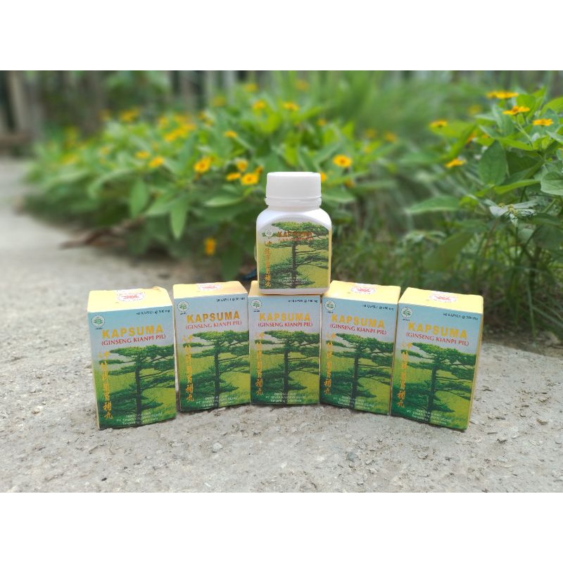 KAPSUMA (GINSENG KIANPI PIL) BPOM