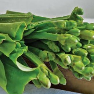 

Daun Genjer / Bunga Genjer/ per ikat