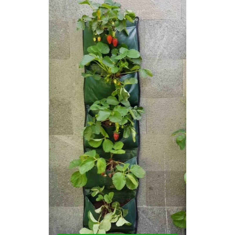 Wall Planter Bag 5 Kantong / Pot Dingding - Hijau