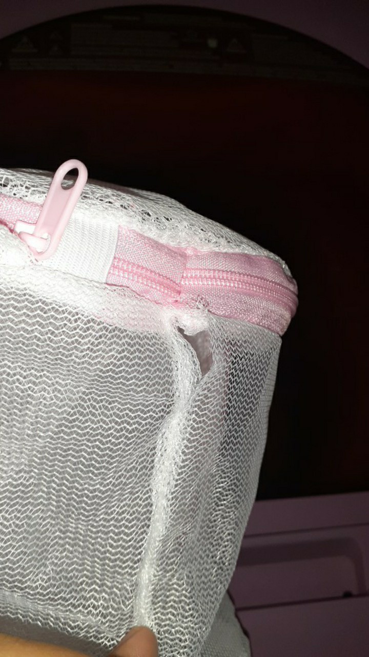 Bra Laundry Bag  Bh Underwear